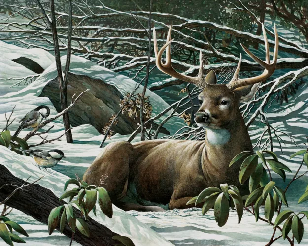 Outdoors artist’s work coming to SAMA